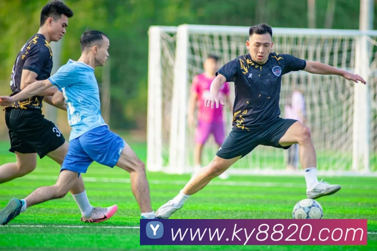 App功能展示图